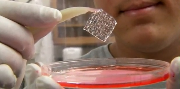 3Dプリンターのバイオ印刷による体内で電気を生成する人工臓器