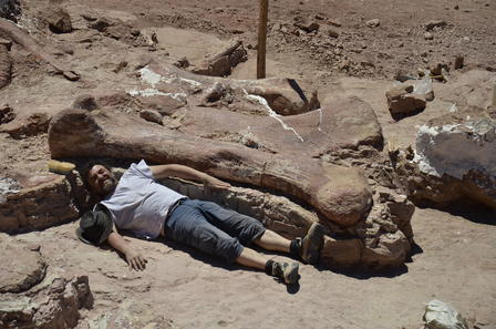 恐竜の化石発掘